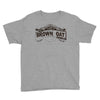 loyal browncoat for life Youth Tee