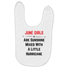 June Girls Baby Bibs