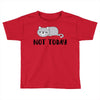 Cat Says Not Today Toddler T-shirt
