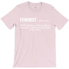 Feminist Noun T-Shirt