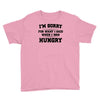 i'm sorry for what i said when i was hungry Youth Tee