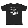perfect welsh Toddler T-shirt