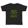 keep calm everything okay Toddler T-shirt