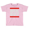 rek607 Toddler T-shirt