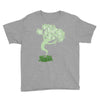 saw a ghost Youth Tee
