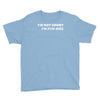 i'm not short i'm fun sized, funny Youth Tee