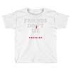 friends don't lie Toddler T-shirt