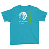 albert einstein theory of 7% proof geeky science cider scrumpy drinkin Youth Tee