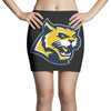 fahrie77 Mini Skirts