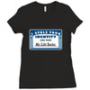 i stole your identity and now my life sucks Ladies Fitted T-Shirt
