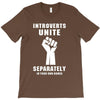 introverts unite separately in your own homes T-Shirt