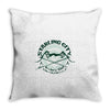 bullseye Throw Pillow