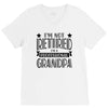 not retired but a professional grandpa V-Neck Tee