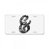 and License Plate