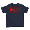 texas made lone star license plate Youth Tee