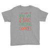 i just want to drink wine &amp; bake christmas cookies Youth Tee