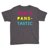 pansexual pride Youth Tee