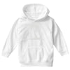 palm tree Youth Hoodie
