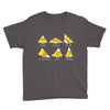 candy corn are triangles Youth Tee