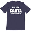 i'm not santa but sit on my lap T-Shirt