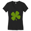 irish (2) Women's V-Neck T-Shirt