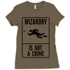 wizardry is not a crime Ladies Fitted T-Shirt