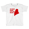 funny maine state Toddler T-shirt