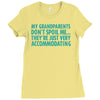 my grandparents are just accommodating Ladies Fitted T-Shirt