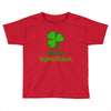 little leprechaun Toddler T-shirt