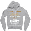 Sagittarius Hated By Many Wanted By Plenty Disliked By Some Confronted Zipper Hoodie