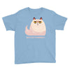 Go F Yourself Youth Tee