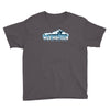 i joined the mile high club if that means tickling the pilot Youth Tee