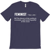 Feminist Noun T-Shirt