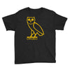 drake, ovoxo owl Youth Tee