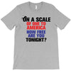 on a scale of one to america how free are you tonight T-Shirt