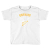 gotham rogues Toddler T-shirt