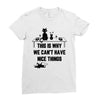 This Is Why We Can't Have Nice Things Ladies Fitted T-Shirt