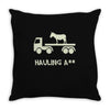 hauling a Throw Pillow