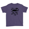 shark chart light blue t shirt Youth Tee