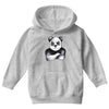 Kung Fu Panda Youth Hoodie