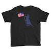 Patriotic T-Rex Youth Tee