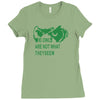 they seem owls Ladies Fitted T-Shirt