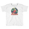 robin the boy wonder Toddler T-shirt