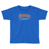quicksilver messenger service cool rock band Toddler T-shirt