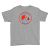 quebec nordiques hockey team Youth Tee