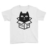 cats love boxes Youth Tee