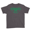 this is my st. patrick's day shirt Youth Tee