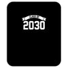 class of 2030 Mousepad