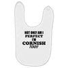 perfect cornis Baby Bibs