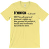 Feminism Noun T-Shirt